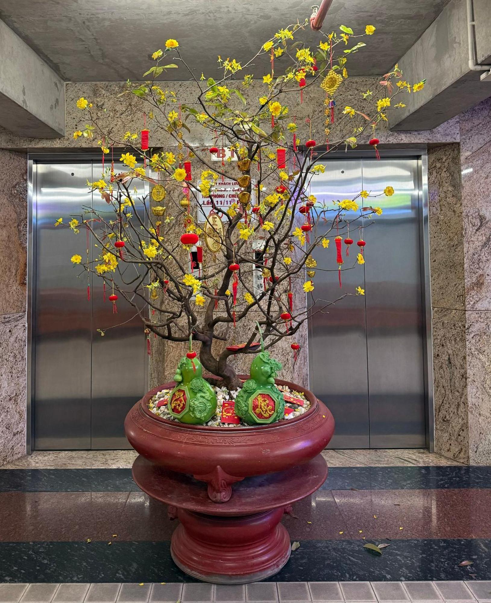 Thien Tai Hotel Thành Pho Ho Chí Minh Esterno foto